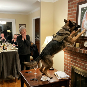 NEXT PART: The clinking of crystal champagne flutes was supposed to be the loudest sound in the formal dining room.